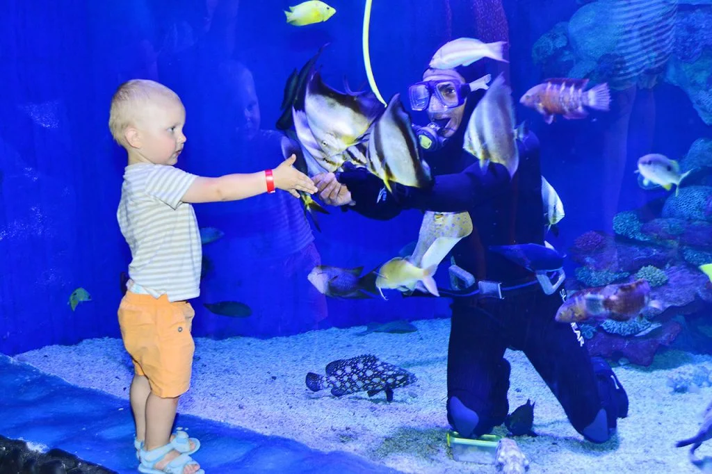 Grand Aquarium Hurghada
