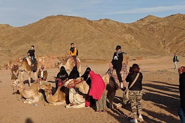 camel-ride