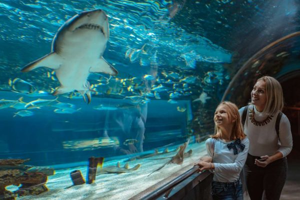 grand-aquarium-hurghada